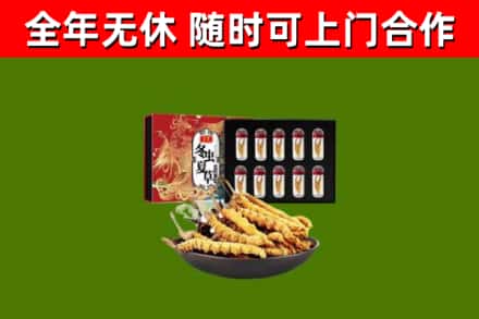 西峡回收冬虫夏草价格