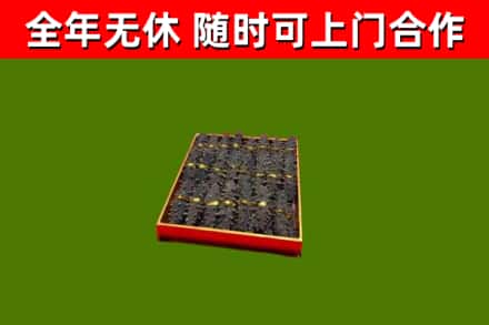 西峡回收海参